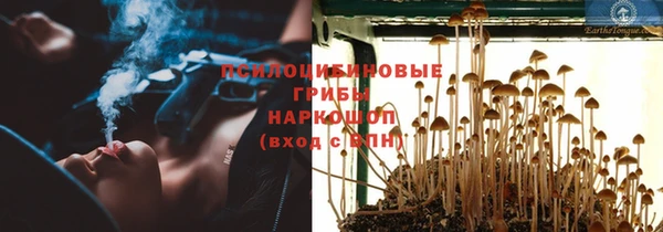 а пвп мука Кинешма