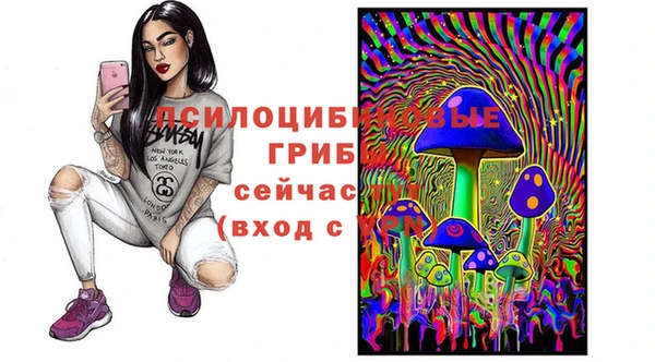 а пвп мука Кинешма
