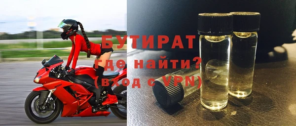 шишки Тында