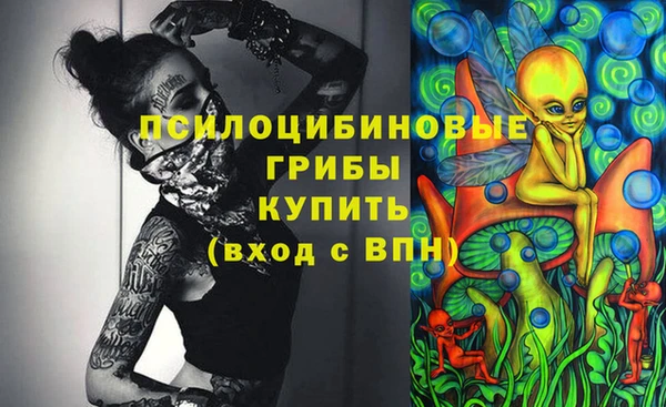 мдма Киреевск