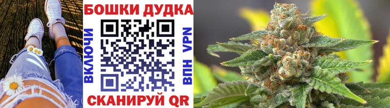 Марихуана планчик  Купить где  Горняк 